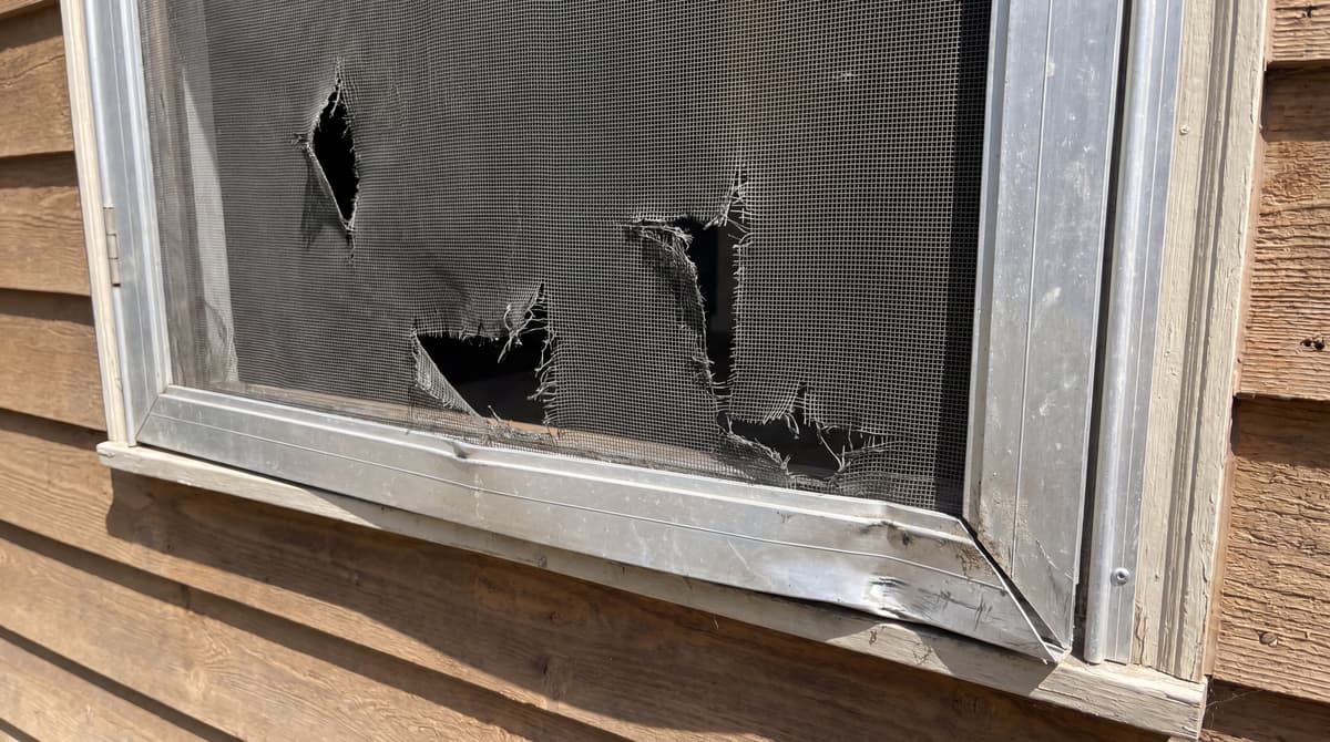 Screen Door Repair - Before